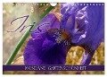 Iris - mondäne Gartenschönheit (Wandkalender 2024 DIN A4 quer), CALVENDO Monatskalender - Christine B-B Müller