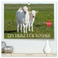 Ein Herz für Rinder (hochwertiger Premium Wandkalender 2025 DIN A2 quer), Kunstdruck in Hochglanz - Sigrid Starick