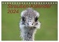 Straußen-Kalender 2024 (Tischkalender 2024 DIN A5 quer), CALVENDO Monatskalender - Bernd Witkowski