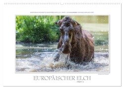 Emotionale Momente: Europäischer Elch Part II (Wandkalender 2026 DIN A2 quer), CALVENDO Monatskalender - Ingo Gerlach GDT