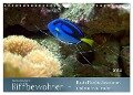 Riffbewohner - Bunte Fische, Anemonen und noch viel mehr (Wandkalender 2024 DIN A4 quer), CALVENDO Monatskalender - Bianca Schumann