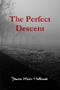 The Perfect Descent - Jessica Holbrook