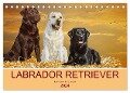 Labrador Retriever - Ein Freund für¿s Leben (Tischkalender 2024 DIN A5 quer), CALVENDO Monatskalender - Sigrid Starick