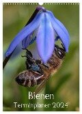 Bienen-Terminplaner 2024 (Wandkalender 2024 DIN A3 hoch), CALVENDO Monatskalender - Silvia Hahnefeld