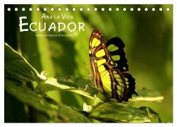 Ama la Vida Ecuador (Tischkalender 2026 DIN A5 quer), CALVENDO Monatskalender - Dirk Stamm