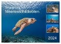 Begegnung mit Meeresschildkröten (Wandkalender 2024 DIN A3 quer), CALVENDO Monatskalender - Yvonne Tilo Kühnast - naturepics
