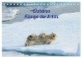 Eisbären - Könige der Arktis (Tischkalender 2024 DIN A5 quer), CALVENDO Monatskalender - Heike Springer