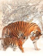 Cover-Bild zum Titel 'Fantasy Notizbuch 14: Tiger im Schnee' von 'Samuriel Sternenfeuer'