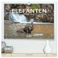 Elefanten - Baden, Planschen, Rüsseln (hochwertiger Premium Wandkalender 2024 DIN A2 quer), Kunstdruck in Hochglanz - Mario Weigt