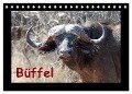 Büffel (Tischkalender 2024 DIN A5 quer), CALVENDO Monatskalender - Britta Ohm
