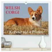 Welsh Corgi - Kobold auf 4 Pfoten (hochwertiger Premium Wandkalender 2026 DIN A2 quer), Kunstdruck in Hochglanz - Sigrid Starick
