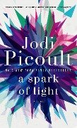 A Spark of Light - Jodi Picoult