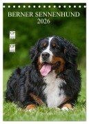 Cover-Bild zum Titel 'Berner Sennenhund 2026 (Tischkalender 2026 DIN A5 hoch), CALVENDO Monatskalender' von 'Sigrid Starick'