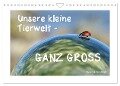 Unsere kleine Tierwelt - GANZ GROSS (Wandkalender 2024 DIN A4 quer), CALVENDO Monatskalender - Sabine Schmidt