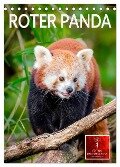 Roter Panda (Tischkalender 2024 DIN A5 hoch), CALVENDO Monatskalender - Peter Roder