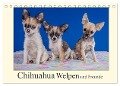 Chihuahua Welpen und Freunde (Tischkalender 2024 DIN A5 quer), CALVENDO Monatskalender - Gabriela Wejat-Zaretzke