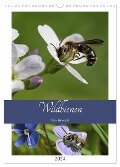 Wildbienen-Terminplaner 2024 (Wandkalender 2024 DIN A3 hoch), CALVENDO Monatskalender - Silvia Hahnefeld