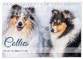 Collies - die schönsten Hunde der Welt (Tischkalender 2024 DIN A5 quer), CALVENDO Monatskalender - Sigrid Starick