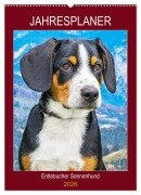 Cover-Bild zum Titel 'Jahresplaner Entlebucher Sennenhund (Wandkalender 2026 DIN A2 hoch), CALVENDO Monatskalender' von 'Sigrid Starick'