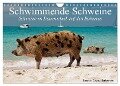 Schwimmende Schweine (Wandkalender 2024 DIN A4 quer), CALVENDO Monatskalender - Elisabeth Stanzer