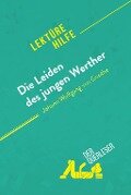 Die Leiden des jungen Werther von Johann Wolfgang von Goethe (Lektürehilfe) - Dominique Coutant-Defer, Kelly Carrein