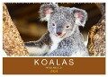 Koalas, putzige Gesellen (Wandkalender 2024 DIN A2 quer), CALVENDO Monatskalender - Robert Styppa