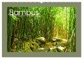 Bambus (Wandkalender 2024 DIN A2 quer), CALVENDO Monatskalender - Crystallights By Sylvia Seibl