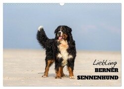 Liebling BERNER SENNENHUND (Wandkalender 2025 DIN A3 quer), CALVENDO Monatskalender - Www. Annettmirsberger. de Mirsberger
