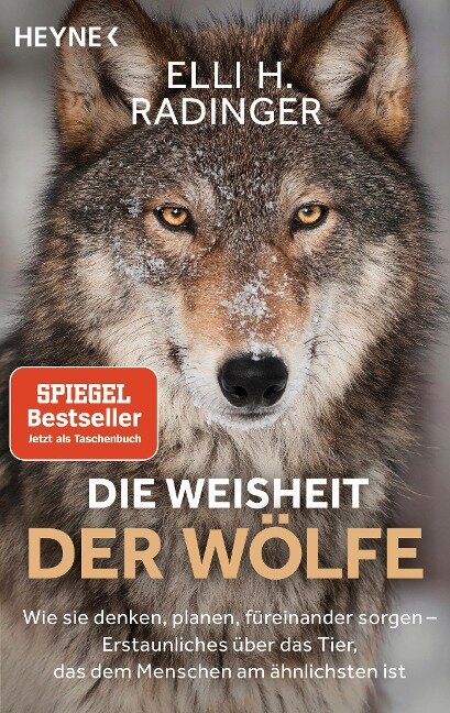 Cover von [Buchtitel 1]
