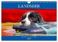 Landseer - Ein starker Freund auf 4 Pfoten (Wandkalender 2024 DIN A4 quer), CALVENDO Monatskalender - Sigrid Starick
