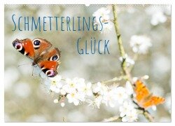 Schmetterlings-Glück (Wandkalender 2025 DIN A2 quer), CALVENDO Monatskalender - Carola Vahldiek