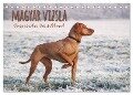 Magyar Vizsla - Ungarischer Vorstehhund (Tischkalender 2025 DIN A5 quer), CALVENDO Monatskalender - Alexandra Hollstein