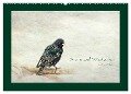 Stare und Weisheiten (Wandkalender 2024 DIN A2 quer), CALVENDO Monatskalender - Heike Hultsch