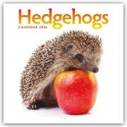 Cover-Bild zum Titel 'Hedgehogs - Igel 2026 - Wand-Kalender' von 'Carousel Calendar'