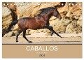 Caballos Spanische Pferde 2024 (Tischkalender 2024 DIN A5 quer), CALVENDO Monatskalender - Petra Eckerl Tierfotografie