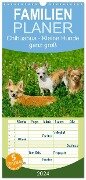 Familienplaner 2024 - Chihuahua - Kleine Hunde ganz groß mit 5 Spalten (Wandkalender, 21 x 45 cm) CALVENDO - Sigrid Starick