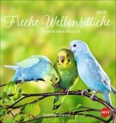 Cover-Bild zum Titel 'Freche Wellensittiche Postkartenkalender 2026' von ''