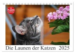 Die Launen der Katzen 2025 (Tischkalender 2025 DIN A5 quer), CALVENDO Monatskalender - Anna Kropf