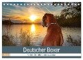Deutscher Boxer (Tischkalender 2024 DIN A5 quer), CALVENDO Monatskalender - Kerstin Mielke