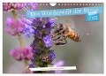 Die Wunderwelt der Biene (Wandkalender 2025 DIN A4 quer), CALVENDO Monatskalender - Christian Müller