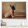 Charme auf vier Pfoten - Französische Bulldoggen Portraits (hochwertiger Premium Wandkalender 2024 DIN A2 quer), Kunstdruck in Hochglanz - Jana Behr