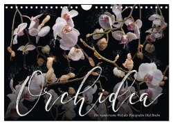 Orchidea (Wandkalender 2025 DIN A4 quer), CALVENDO Monatskalender - Olaf Bruhn