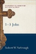 Cover-Bild zum Titel '1-3 John' von 'Robert W Yarbrough'