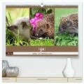 Igel 2025. Tierische Impressionen (hochwertiger Premium Wandkalender 2025 DIN A2 quer), Kunstdruck in Hochglanz - Steffani Lehmann (Hrsg.