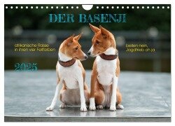 Der Basenji (Wandkalender 2025 DIN A4 quer), CALVENDO Monatskalender - Angelika Joswig