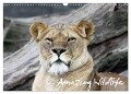 Amazing Wildlife (Wandkalender 2024 DIN A3 quer), CALVENDO Monatskalender - Andreas Hebbel-Seeger
