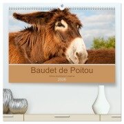 Baudet de Poitou - Seltene französische Langohren (hochwertiger Premium Wandkalender 2026 DIN A2 quer), Kunstdruck in Hochglanz - Meike Bölts