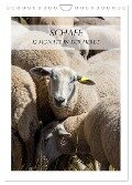 Schafe - 12 Monate in der Herde (Wandkalender 2024 DIN A4 hoch), CALVENDO Monatskalender - Stefanie Und Philipp Kellmann