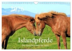 Islandpferde - Die tierischen Stars der Insel (Wandkalender 2026 DIN A4 quer), CALVENDO Monatskalender - Rainer Grosskopf