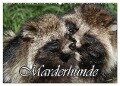 Marderhunde (Wandkalender 2024 DIN A2 quer), CALVENDO Monatskalender - Antje Lindert-Rottke